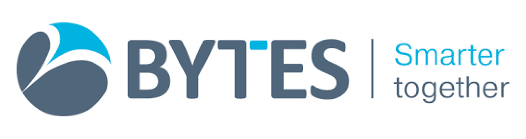 Bytes Software Services Logo